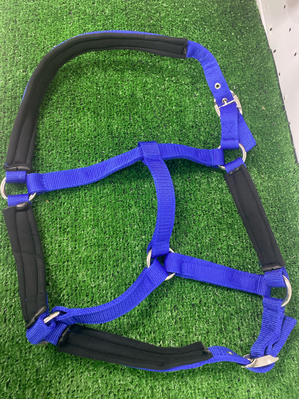 Недоуздок новый -Ч-