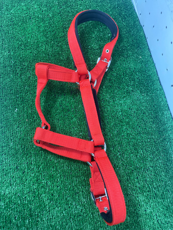 Недоуздок новый -Ч-