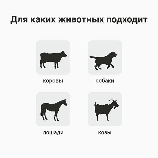 Электоропастух ТОР ЛАЙТ 12В \1Дж\ 12В АКБ